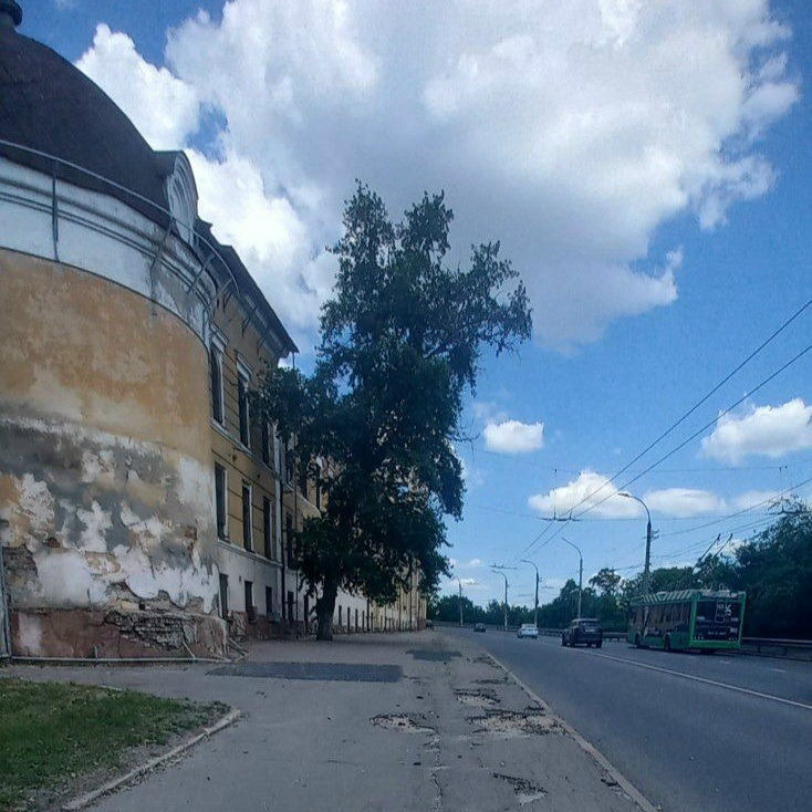 Остерегайтесь сатанинского гриба!